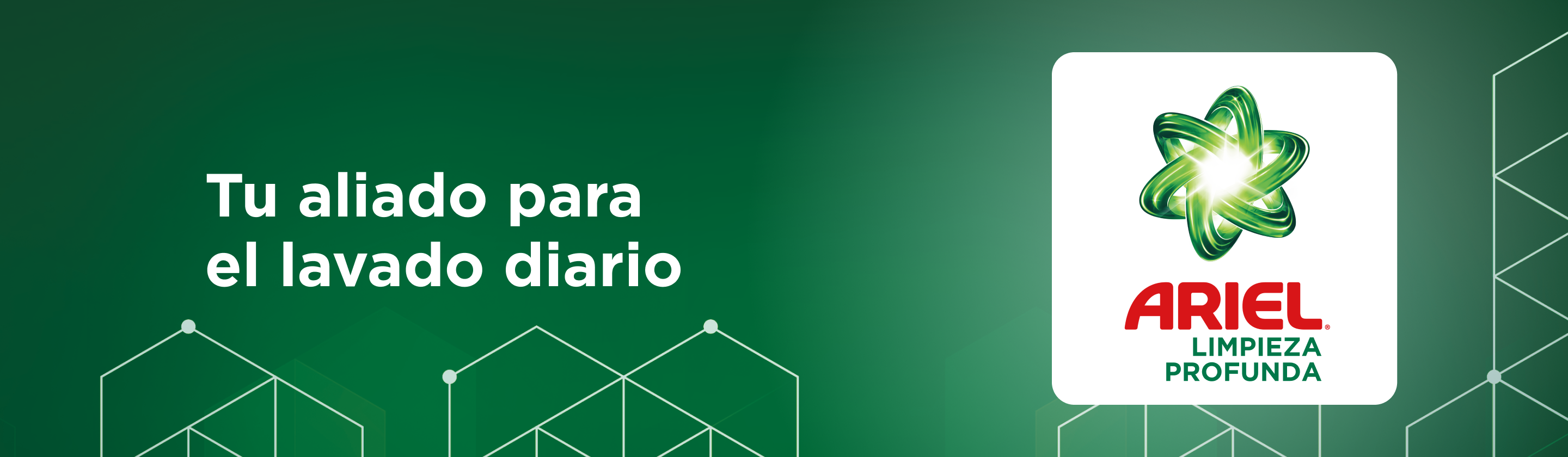 Banner de Limpieza Profunda
